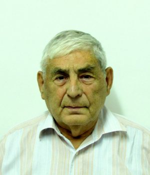 Менис Давид